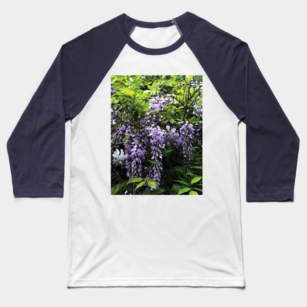 Clusters of Wisteria Baseball T-Shirt by SusanSavad